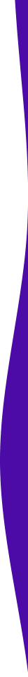 https://www.sartoni.art/wp-content/uploads/2021/04/purple-detail-right.png